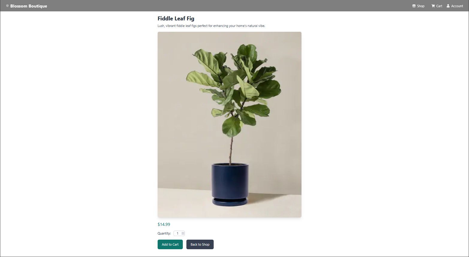 Blossom Boutique screenshot 4