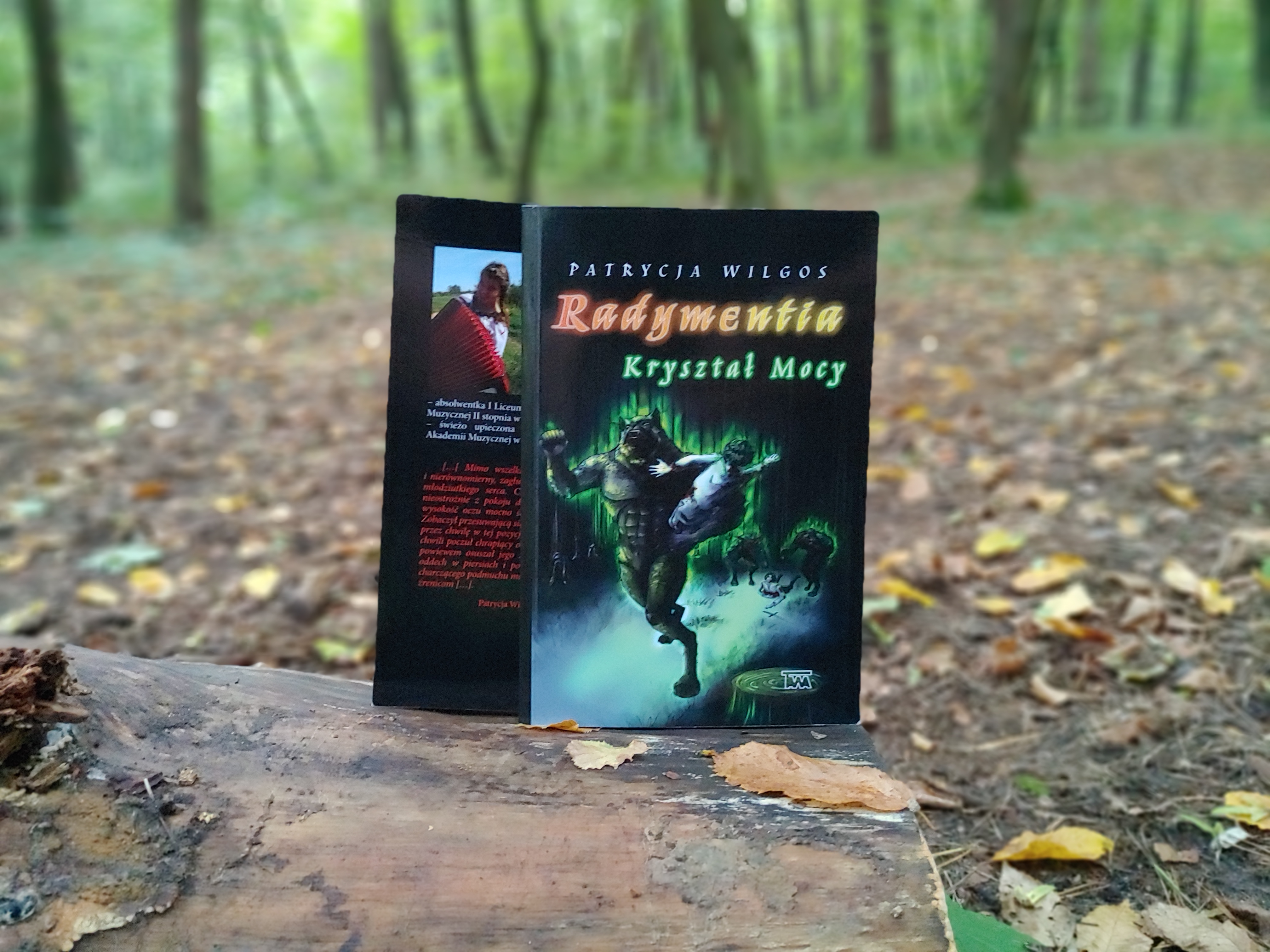 Fantasy Novel - Radymentia screenshot 3