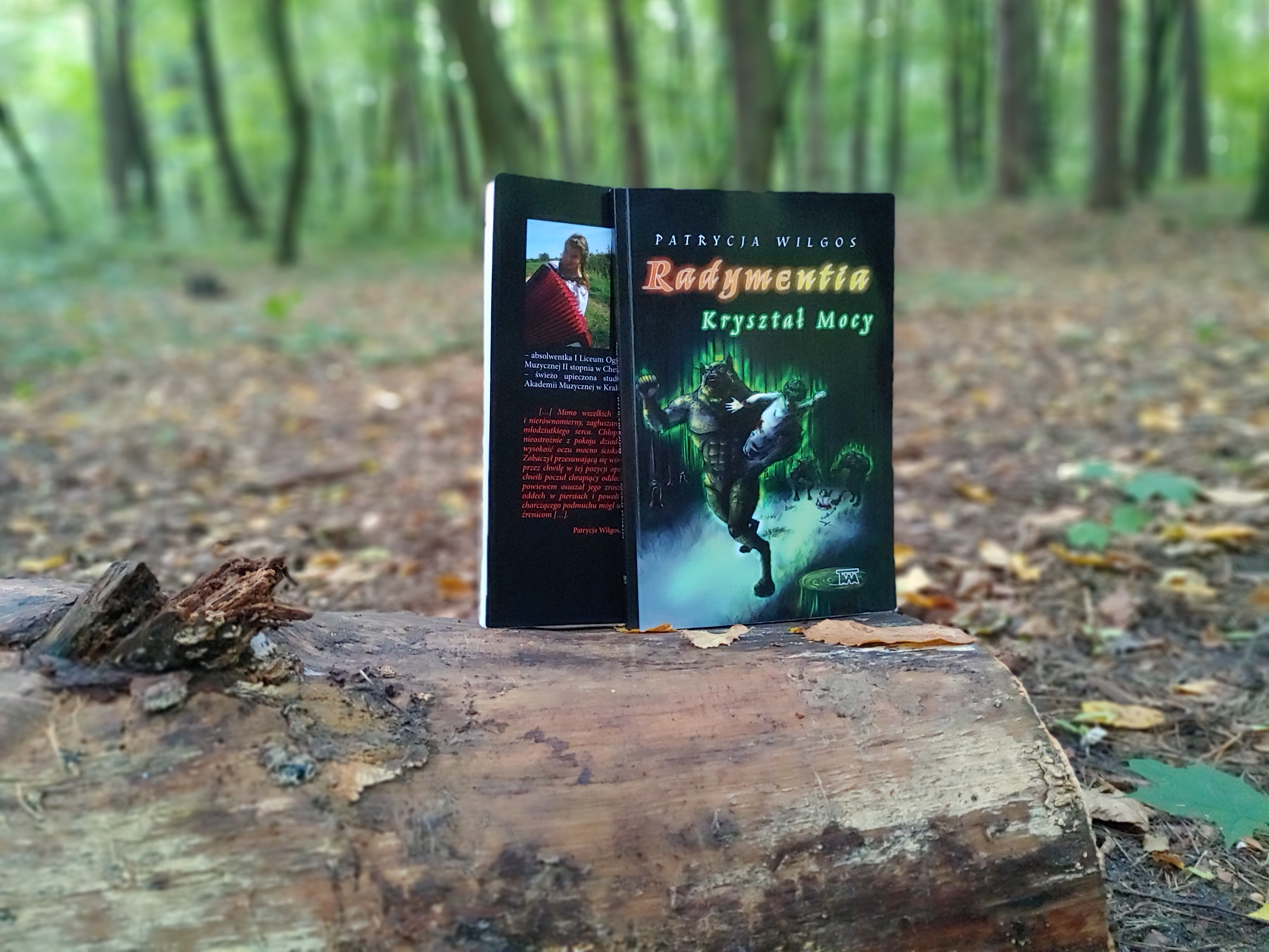 Fantasy Novel - Radymentia screenshot 2